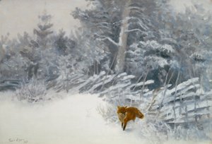 Ein Fuchs im Winterwald