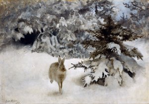 Ein Hase im Schnee