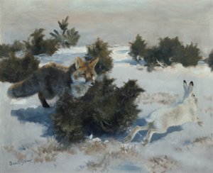 Fuchs und Hase