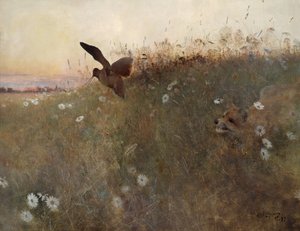 Fuchs und Waldschnepfe von Bruno Andreas Liljefors