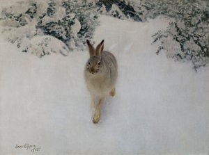 Hase im Winter von Bruno Andreas Liljefors