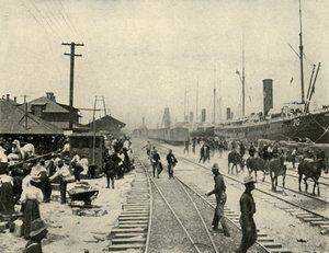 Freigelassene Gefangene, Spanisch-Amerikanischer Krieg, Juni 1898, 1899
