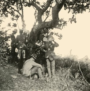 Baum, von dem aus Captain Paget...Sah...Schlacht von San Juan, Spanisch-Amerikanischer Krieg, Juni 1898, 1899 von Burr McIntosh