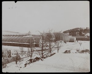Die Gewächshäuser im Schnee auf dem Anwesen von Helen Gould (ehemaliger Wohnsitz von Jay Gould) in Tarrytown, New York, 1894
