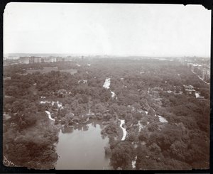 Blick auf den Central Park vom Plaza Hotel, 5th Avenue und 59th Street, New York, ca. 1907