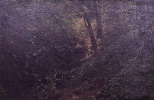 Frühling in einer Schlucht von C.A. Kølle