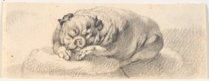 Ein Mops von C.A. Lorentzen
