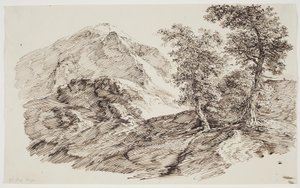 Berglandschaft mit Bäumen von C.F. von Rumohr