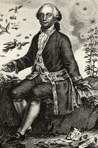 Porträt von Georges-Louis Leclerc de Buffon (1707-1788), französischer Naturforscher und Mathematiker, Gravur von J.B. and Brown J. Rowbotham