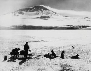 Südpol-Expedition von Robert Falcon Scott (1868-1912), Forscher vor dem Erebus-Vulkan auf der Ross-Insel, 15. Januar von J.B. and Brown J. Rowbotham