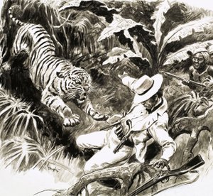 Tiger greift Jäger an