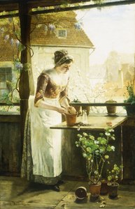 Frau beim Eintopfen von Blumen