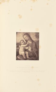Die Jungfrau und das Kind, von Filippino Lippi von Caldesi and Montecchi
