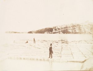 Sankt Pauls Bucht, Malta, Frühling von Calvert Jones