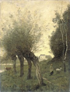 Landschaft mit Kopfweiden