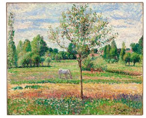 Wiese mit grauem Pferd, Eragny, 1893