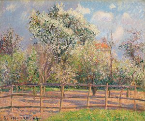 Blühende Birnbäume in Eragny, 1894 von Camille Jacob Pissarro