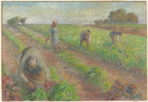 Die Rübenernte (La Récolte des betteraves), 1881