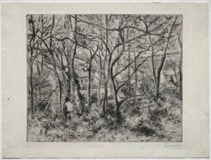 Waldlandschaft bei L