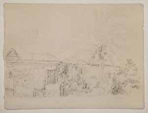 Häuser und Palmen
