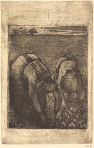 Bauern in einem Bohnenfeld (Paysannes dans un champ de haricots) von Camille Pissarro