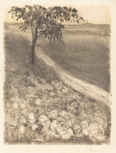 Straße an einem Kohlbeet von Camille Pissarro