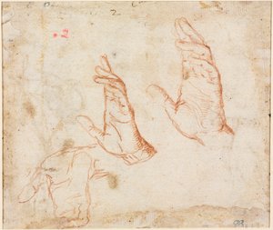 Handstudie (verso) von Camillo Procaccini