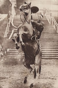 Cowboy, der ein steigendes Pferd kontrolliert