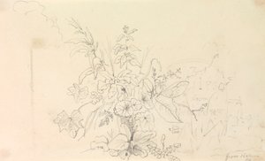 Skizze von Pflanzen und einem Meilenstein aus der Natur, 3. Juni 1826