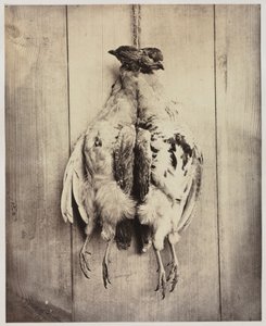 Rebhühner recto, ca. 1861