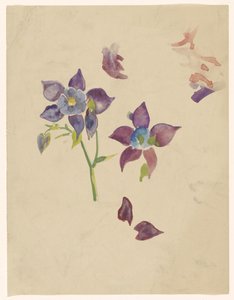 Blumenstudie