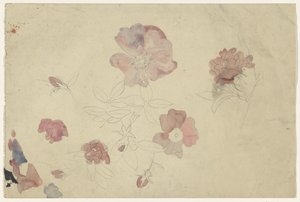 Blumenstudien in Lila und Rosa