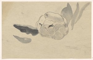 Blumenstudie von Carel Adolph Lion Cachet