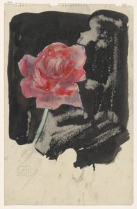 Rote Rose