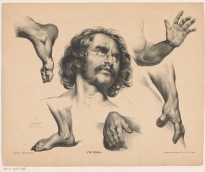 Kopf eines Mannes, Füße, Hände und Arme