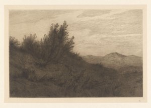Dünenlandschaft von Carel Nicolaas Storm van 