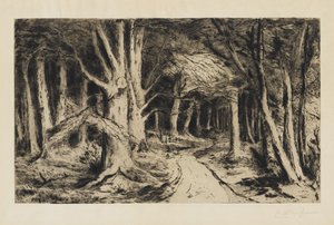Waldweg von Carel Nicolaas Storm van s Gravesande