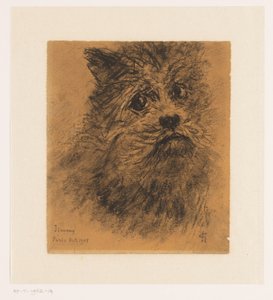 Porträtstudie des Hundes Jimmy von Carel Nicolaas Storm van 