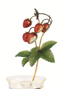 Studie von Wilden Erdbeeren, St. Petersburg