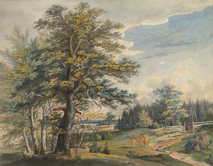 Waldlandschaft mit Hirsch von Carl August Lebschee