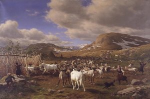 Eine Rentierherde wird zum Melkplatz getrieben. Motiv aus den Hochfjellen nördlich von Røros