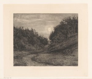 Waldweg bei Mondlicht