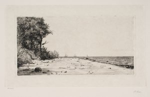 Von der Nordküste Seelands. Hornbækplantage von Carl Bloch
