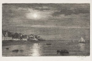 Strandpartie bei Hellebæk. Mondschein