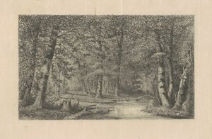 Buchenwald von Carl C. Brenner