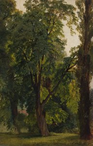 Wald in Königs Wusterhausen von Carl Constantin Steffeck