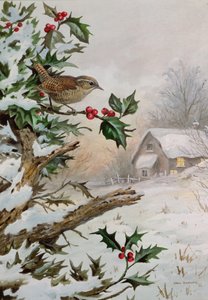 Zaunkönig im Stechpalmenbusch bei einem Cottage von Carl Donner