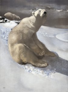 Eisbär von Carl Ederer
