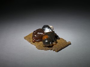 Welpen auf einer Matte, späte 1800er - frühe 1900er
