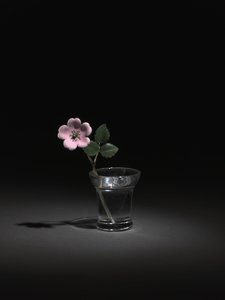 Wilde Rose, späte 1800er-frühe 1900er